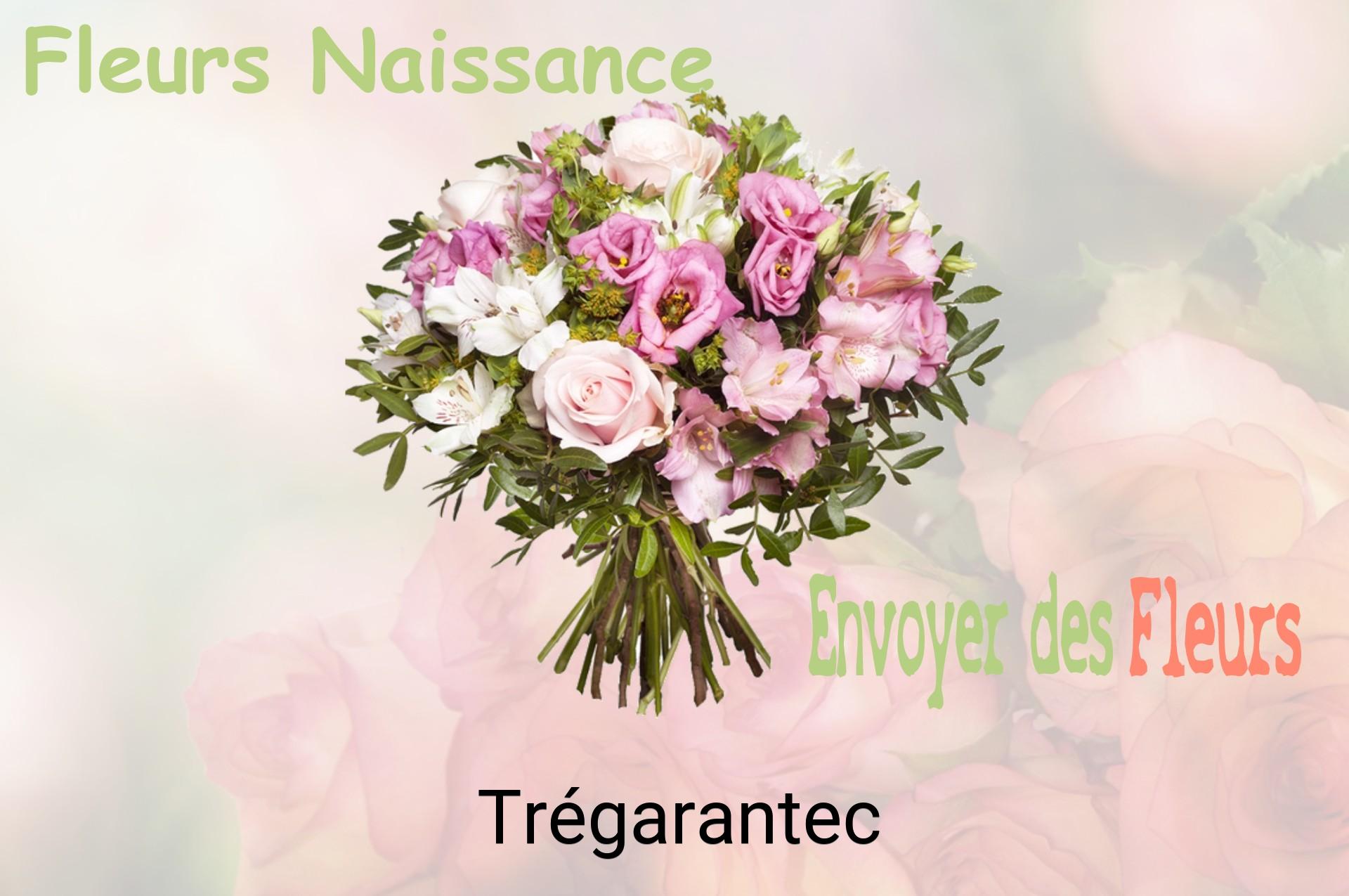 Bouquet de fleurs de naissance livré à Trégarantec